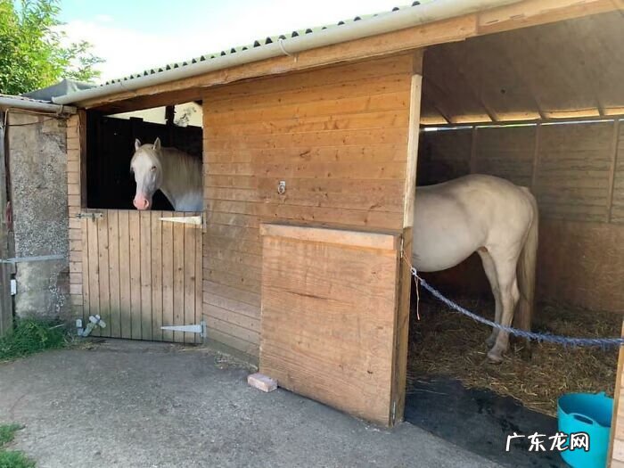 全视之眼 手势 全视之眼图案