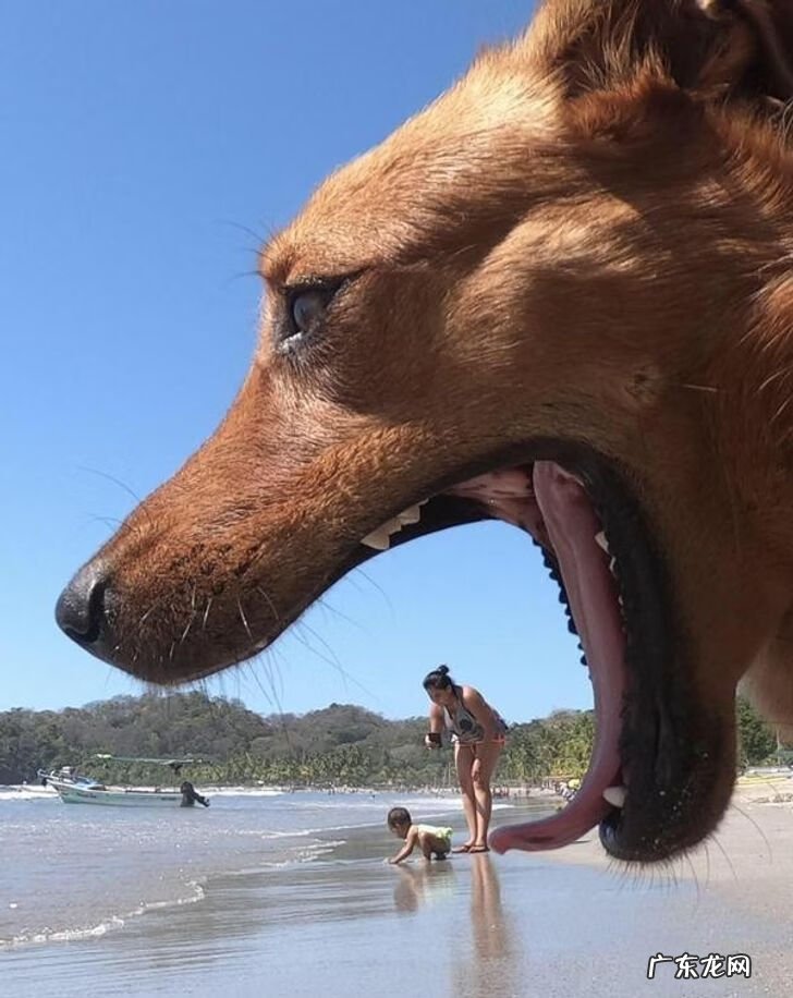 全视之眼 手势 全视之眼图案