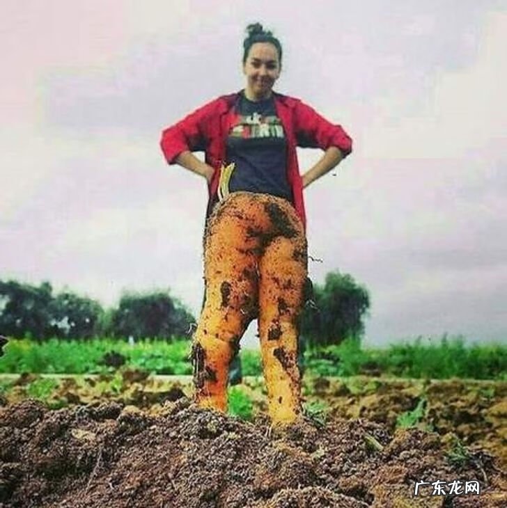 全视之眼 手势 全视之眼图案