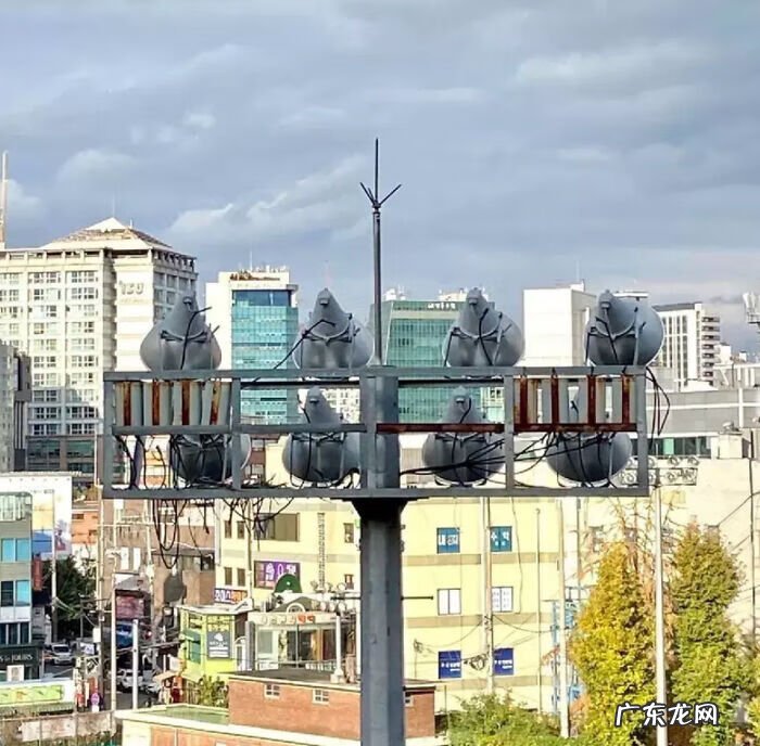 全视之眼 手势 全视之眼图案