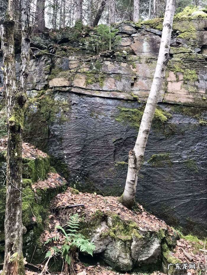 全视之眼 手势 全视之眼图案