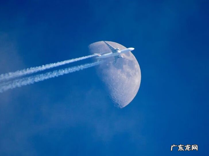 全视之眼 手势 全视之眼图案