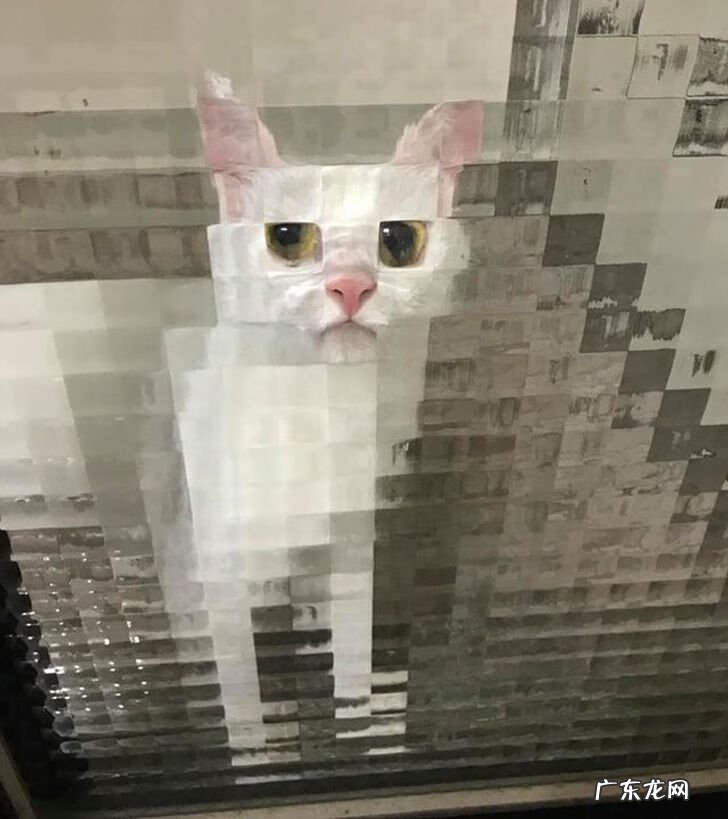 全视之眼 手势 全视之眼图案