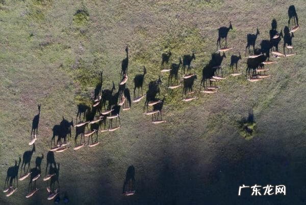 五大连池自驾一日游 五大连池旅游景点介绍