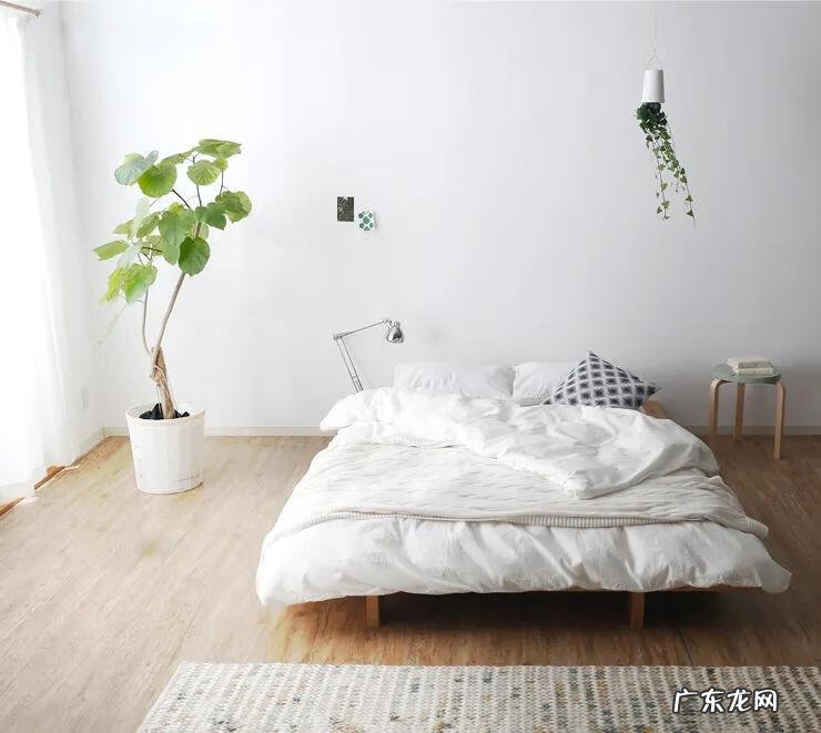 矮床的利弊 日式矮床效果图