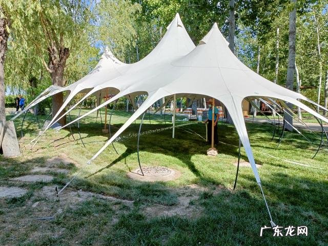 走进田园的心得感受 走进田园的感受