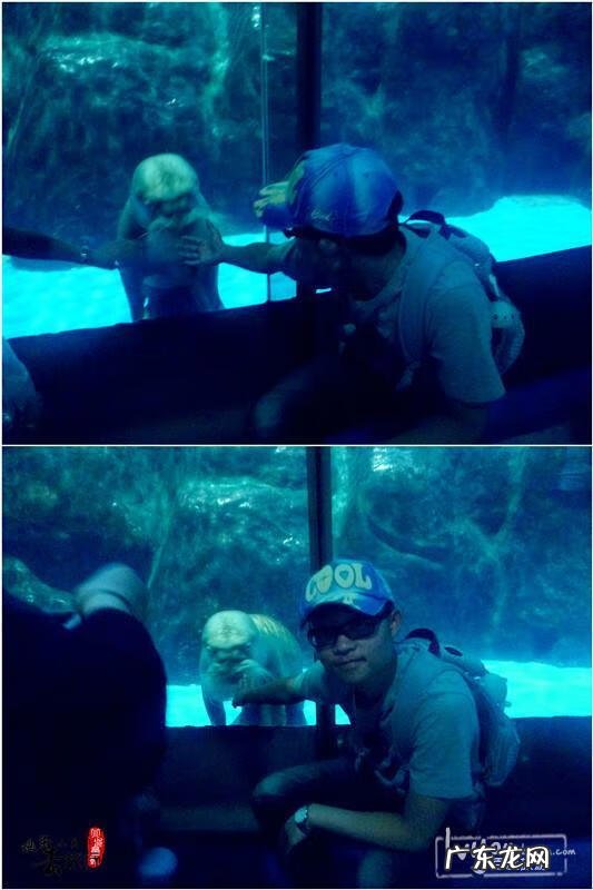 达内官网 大连有达达吗