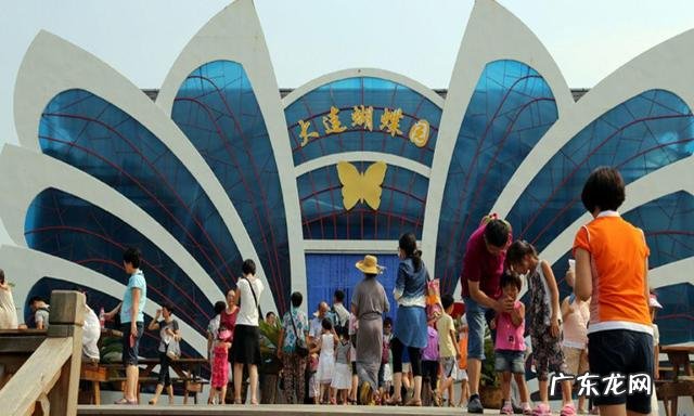 达内官网 大连有达达吗