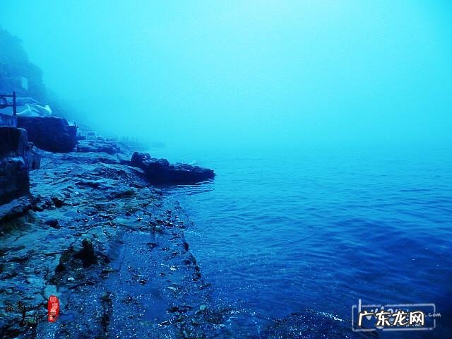 达内官网 大连有达达吗