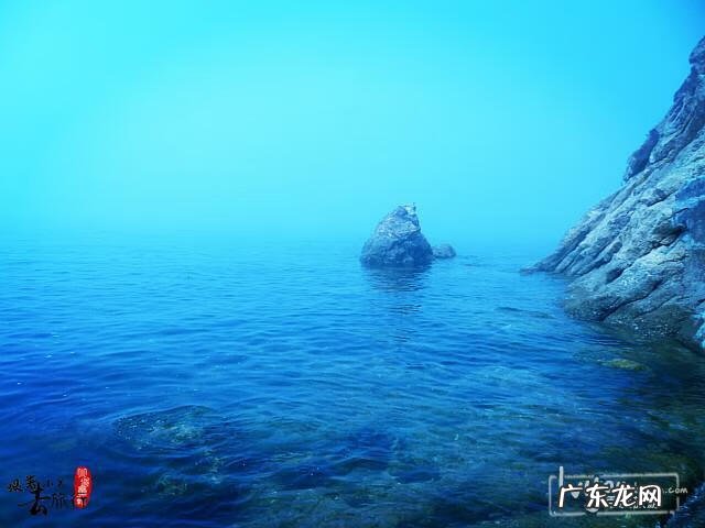 达内官网 大连有达达吗