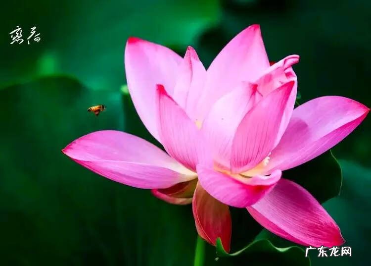 心善比风水更厉害 原来心善比风水更厉害