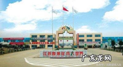 江苏省沭阳县属于 江苏省沭阳县属于哪个市哪个区