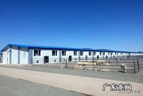 羊舍在什么位置风水好 羊场选址风水