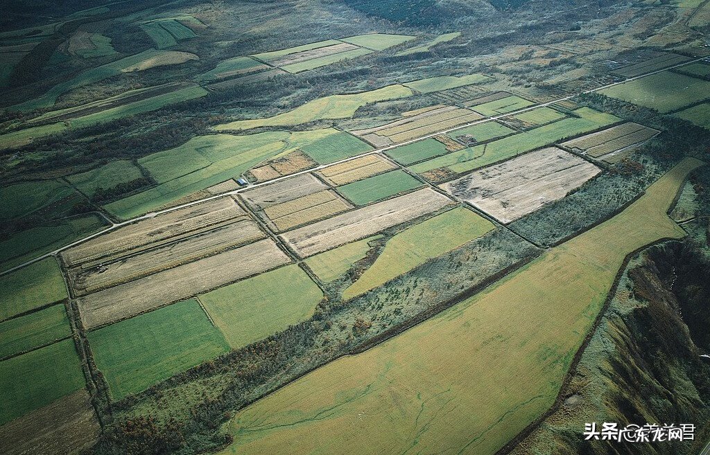 羊舍在什么位置风水好 羊场选址风水