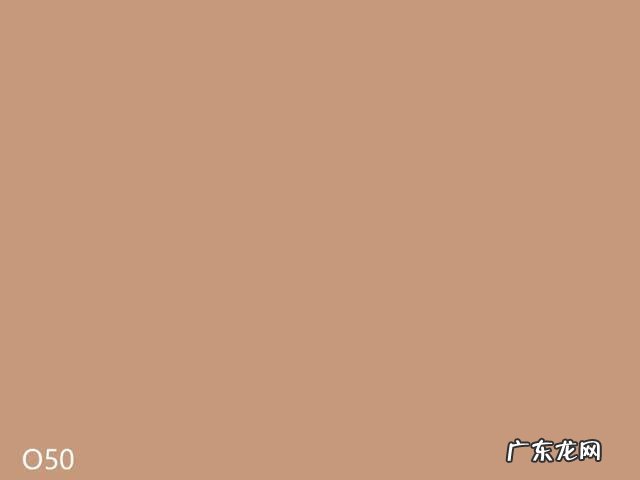 标准肤色卡图片 肤色测试