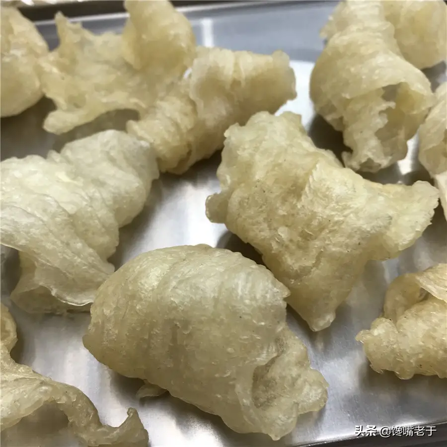 鱼鳔是鱼身上的哪个部位图解 鱼鳔是什么东西图片