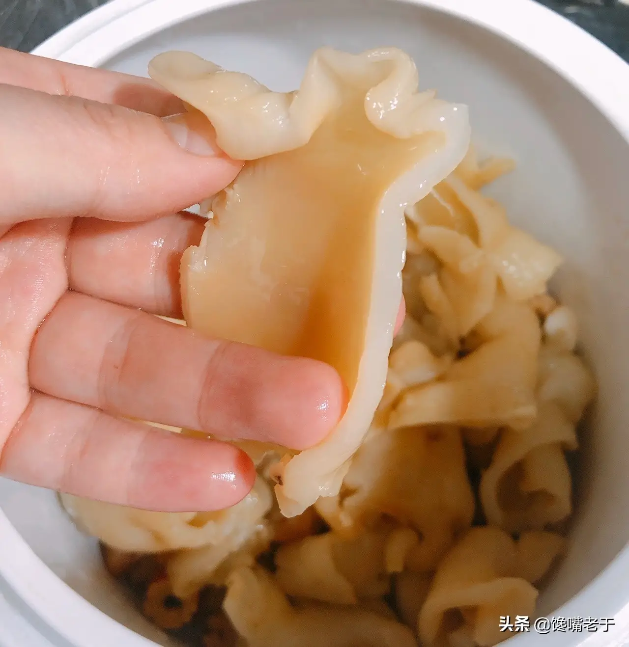 鱼鳔是鱼身上的哪个部位图解 鱼鳔是什么东西图片