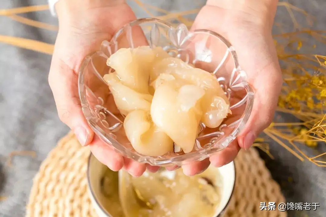 鱼鳔是鱼身上的哪个部位图解 鱼鳔是什么东西图片