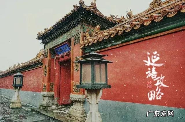 purpose in purposely翻译