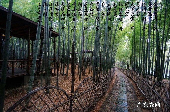 如何加入中国风水协会 中国 风水