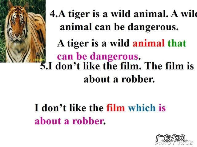 定语从句的讲解和例子 定语从句讲解视频