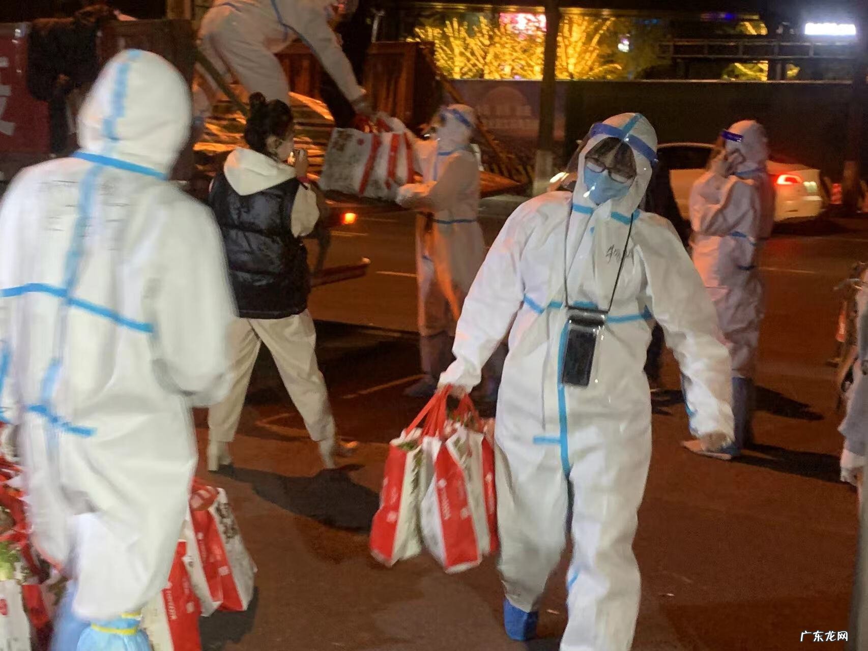 百合 夜百合什么意思