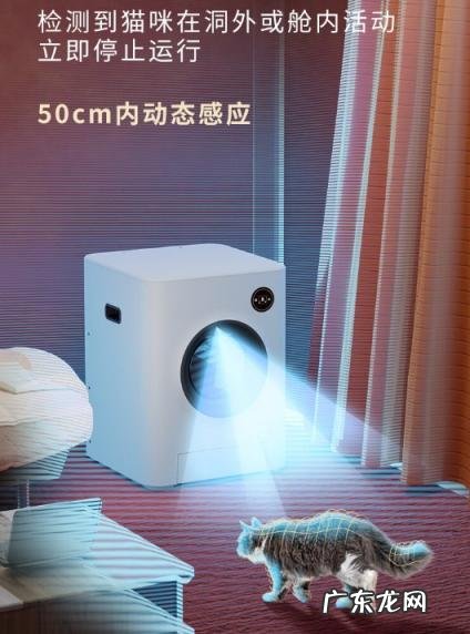 猫咪喜欢什么猫砂盆 鸟语花香智能猫砂盆