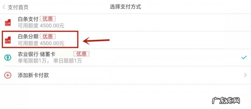 京东付款白条支付什么意思，白条支付什么意思