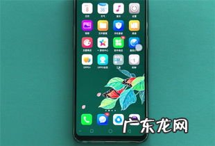 OPPOr17像素多少 OPPOr17上市时间和价格