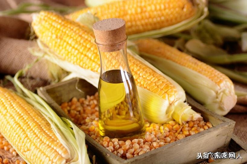 长寿花玉米油怎么样5升多少钱 长寿花玉米油的特点