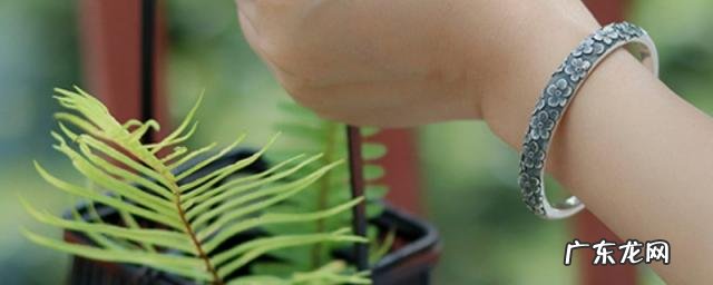 银的镀金多久就掉色了 镀银一般多久会掉色