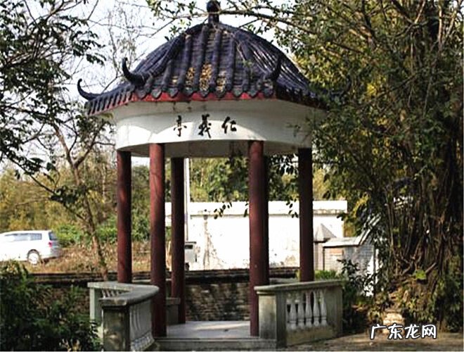 深圳福田网球培训班 广东哪里有风水培训班