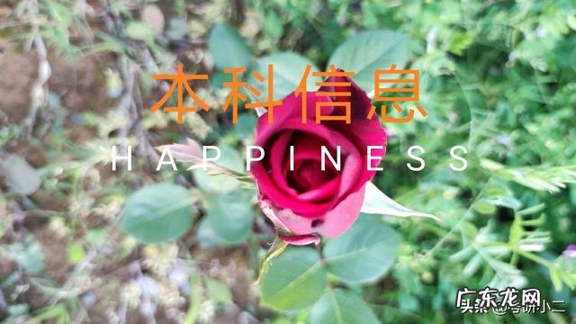 考研英语自我介绍8篇 考研英语自我介绍结尾