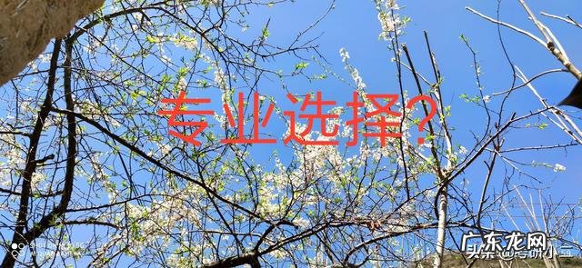 考研英语自我介绍8篇 考研英语自我介绍结尾