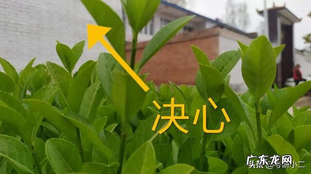 考研英语自我介绍8篇 考研英语自我介绍结尾