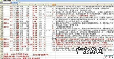 showgirl玩 showgirl价目表价目表