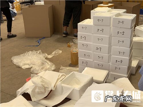 相关品类: 松耸价格