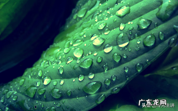 九星八卦风水图 风水九星的含义是什么