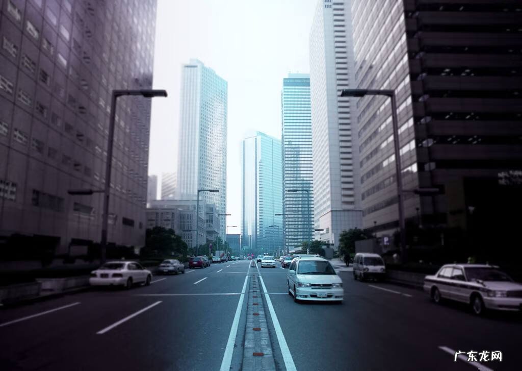 二狗的含义 二狗怎么看风水