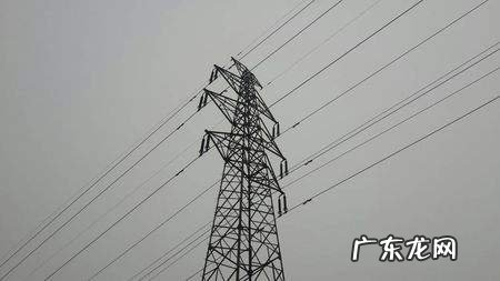 二狗的含义 二狗怎么看风水