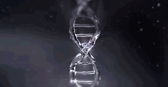 lumi pink胶原蛋白肽粉怎么样 Lumi胶原蛋白粉