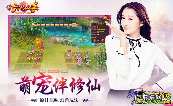 英招读shao还是找 英招加点