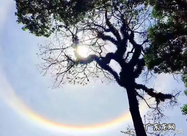 金龙吐珠风水格局 金龙追珠风水图片