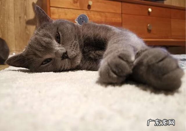 70平方简单装修预算 70平米室内装修设计