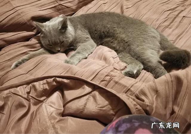 70平方简单装修预算 70平米室内装修设计