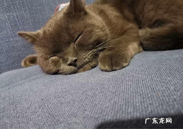 70平方简单装修预算 70平米室内装修设计