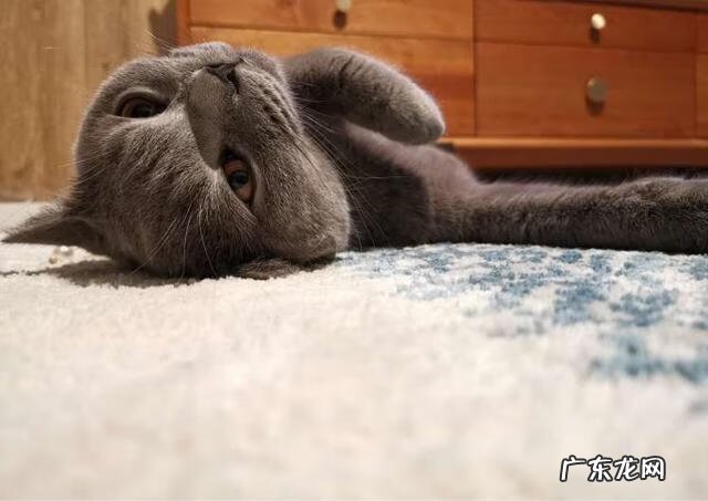 70平方简单装修预算 70平米室内装修设计