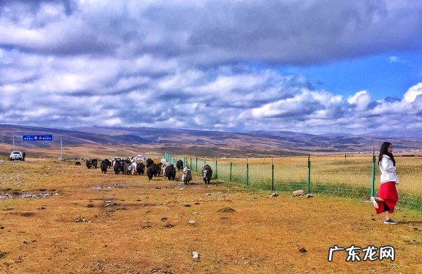 青海湖的特点有哪些 青海湖风大不大