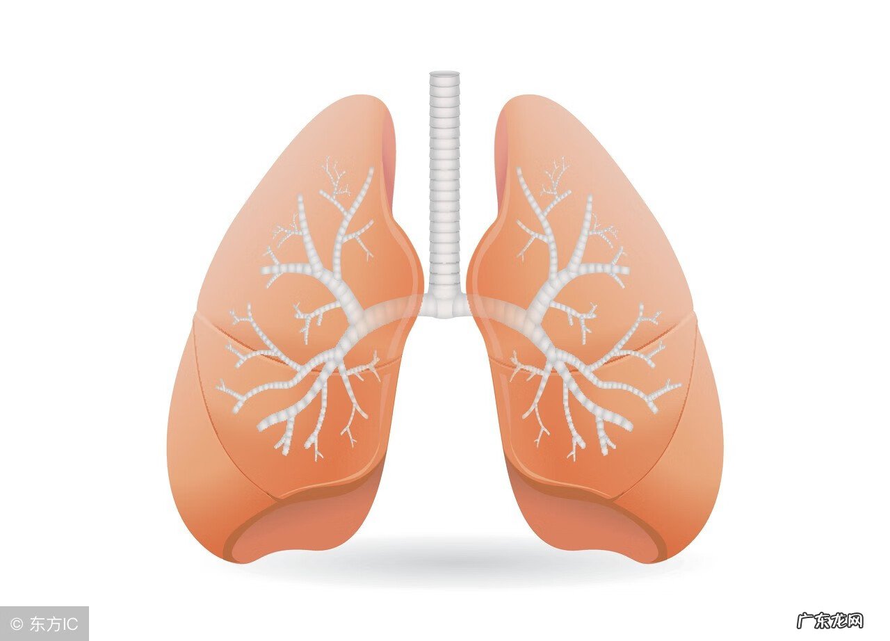 南瓜在风水里的作用 西瓜籽的风水