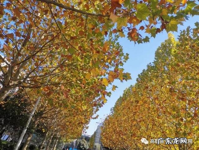 机电设备维修公司 机电维修培训学校